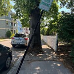 Traffic Signal at 19 Linden St