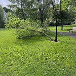 Park Playground at 113 Griggs Rd