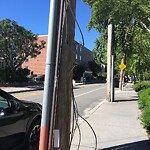 Damaged Sign at 50 Green St