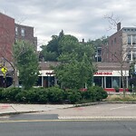 Public Trees at 1674 Beacon St