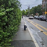 Sidewalk Obstruction at 3 Greenway Ct