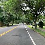 Public Trees at 97 Lagrange St, Chestnut Hill