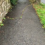 Sidewalk Repair at 20 Sumner Rd