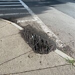 Sidewalk Obstruction at 69 Cypress St