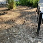 Park Playground at 1–99 Emerson St