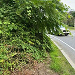 Sidewalk Obstruction at 42.31 N 71.16 W