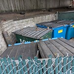 Rodent Issues at 471 Harvard St, Brookline 02446