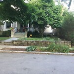 Rodent Issues at 32 Verndale St