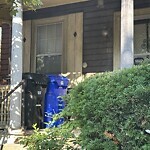 Rodent Issues at 78 Thorndike St