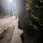 Sidewalk Obstruction at 105 Winchester St