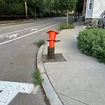 Sidewalk Obstruction at 282 Cypress St