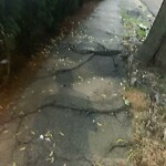 Sidewalk Repair at 45 Leicester St