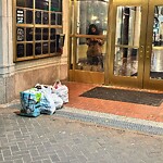 Rodent Issues at 320 Harvard St