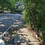 Sidewalk Obstruction at 29 Oakland Rd