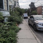 Sidewalk Obstruction at 50 Vernon St