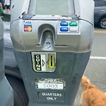 Broken Parking Meter at 1364 Beacon St