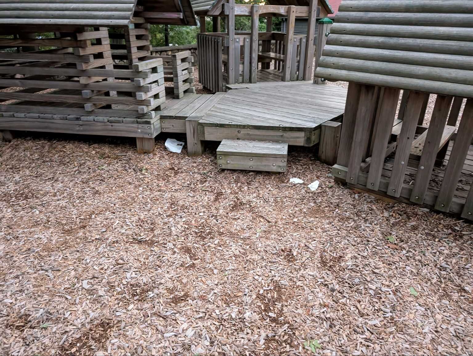 Photo_20240812_200232