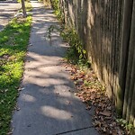 Sidewalk Obstruction at 19 Oakland Rd