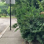 Sidewalk Obstruction at 86–98 White Pl