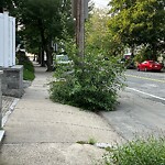 Sidewalk Obstruction at 111 Chestnut St