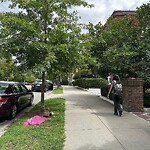 Public Trees at 1555 Beacon St