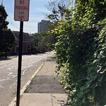 Sidewalk Obstruction at 240 Aspinwall Ave