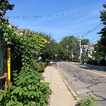 Sidewalk Obstruction at 240 Aspinwall Ave