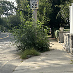 Sidewalk Obstruction at 111 Chestnut St