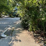 Sidewalk Obstruction at 29 Oakland Rd