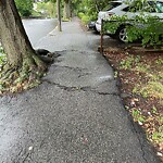 Sidewalk Repair at 34 Greenough St