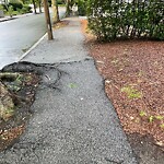 Sidewalk Repair at 16 Greenough St