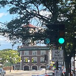 Traffic Signal at 256 Washington St