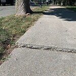 Sidewalk Repair at 111 Holland Rd