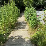 Sidewalk Obstruction at 136 Rawson Rd