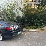 Parking Issues at 45–99 Prince St