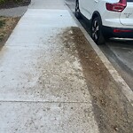 Sidewalk Obstruction at 140 Sumner Rd