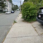 Sidewalk Obstruction at 54 Franklin St