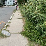 Sidewalk Obstruction at 40 Franklin St