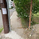 Sidewalk Obstruction at 59 Oakland Rd