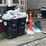 Trash/Recycling at 42.33 N 71.13 W