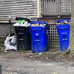 Trash/Recycling at 42.33 N 71.13 W