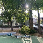 Public Trees at 2–98 Bowker St