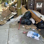 Trash/Recycling at 241 Freeman St