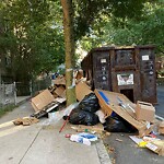 Trash/Recycling at 241 Freeman St