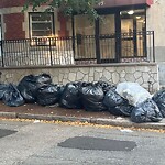 Trash/Recycling at 15 University Rd
