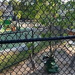 Park Playground at 2–98 Bowker St