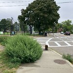 Sidewalk Obstruction at 282 Cypress St