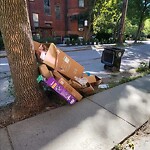 Trash/Recycling at 42 Strathmore Rd, Boston