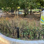 Park Playground at 1–99 Emerson St