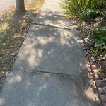 Sidewalk Repair at 89 Welland Rd